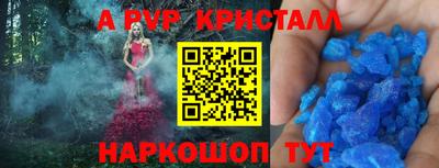 амф Гатчина