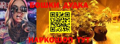 амф Гатчина