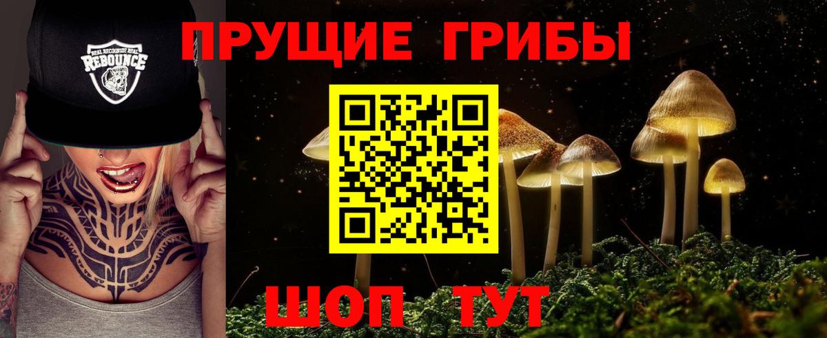 Галлюциногенные грибы GOLDEN TEACHER  Псилоцибиновые грибы GOLDEN TEACHER  Сарапул  Вход с VPN 